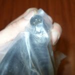 Radarsonics Model 400 Transducer CABLE ONLY - For Sitex Dual Stem Transducers - Image 6