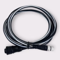 Raymarine A06061 SeaTalk NG to SeaTalk 2 (E-Series) Cable - Good Condition