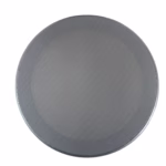 Leon Terra Axis TrAx60 Flush Mount Indoor/Outdoor In-Ceiling Speaker w/Silver Paintable Grille 90-Day Warranty - Image 4