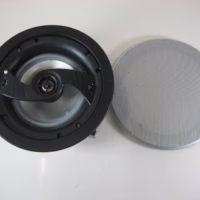 Leon Terra Axis TrAx60 Indoor/Outdoor Ceiling Mount Speaker IP67 w/Silver Grille 90-Day Warranty