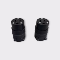 15 Amp 2-Pole Straight Blade Grounding Connector-Black (2 Pack) - New Old Stock