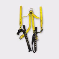 MSA Safety 10072487, Standard Size Workman Full-Body Harness - Lightly Used - Free Shipping