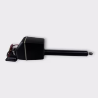 Raymarine/Autohelm Type 2 Long Linear Drive M81132/Z029 12 Volt 16" Stroke